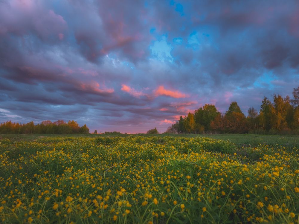 Photograph by Кирилл Сидоров