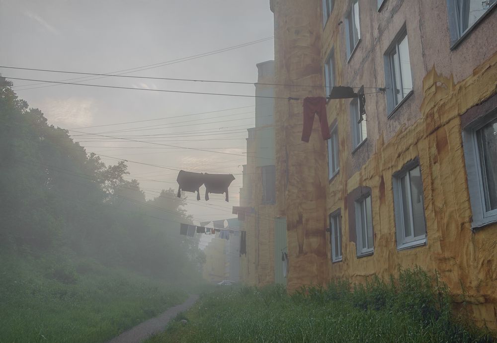 Photograph by Туева Наталья