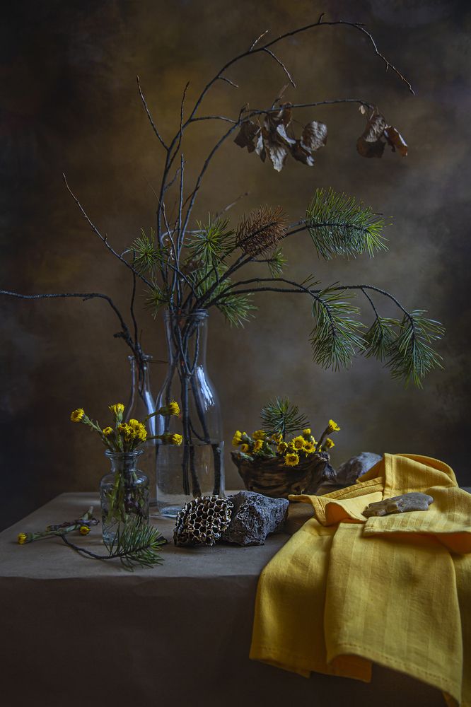 Фотография автора Елена Разина