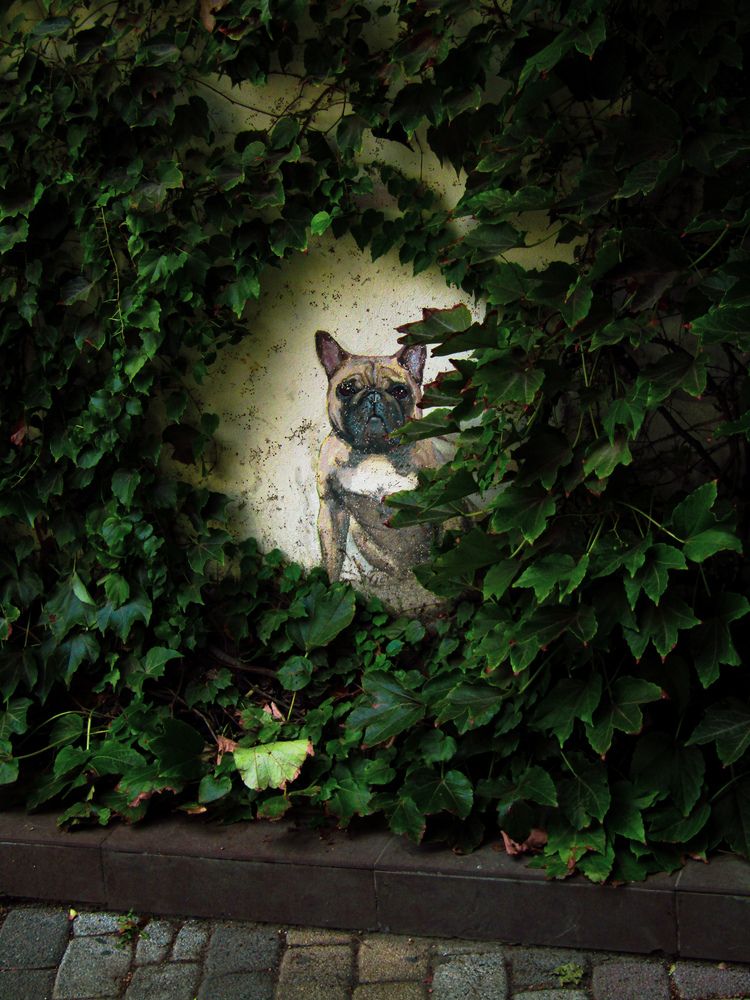 Photograph by Илья Шевченко