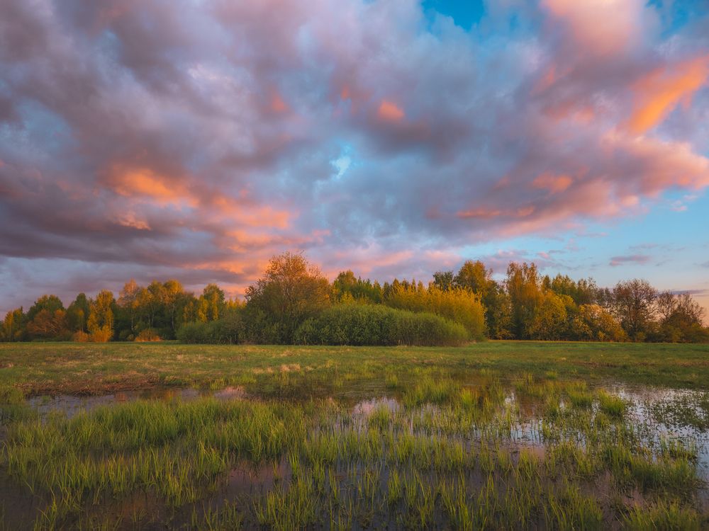 Photograph by Кирилл Сидоров