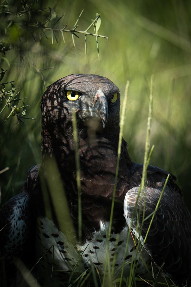 Photograph by Mikhail Zykov