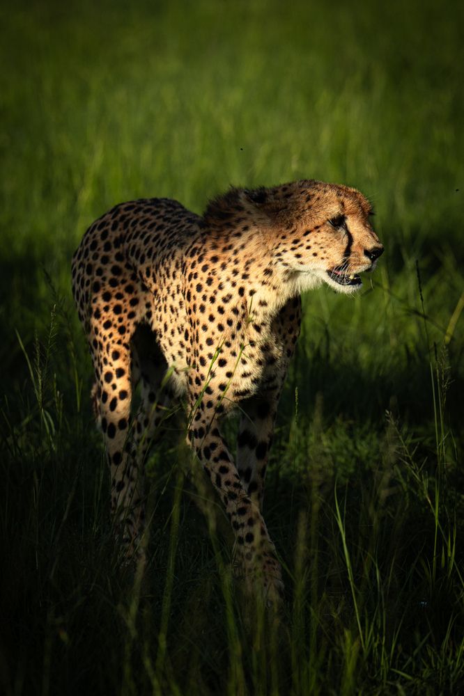 Photograph by Mikhail Zykov
