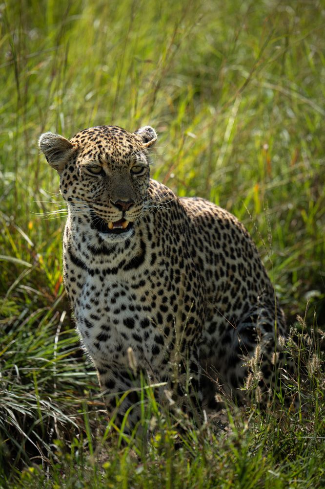 Photograph by Mikhail Zykov