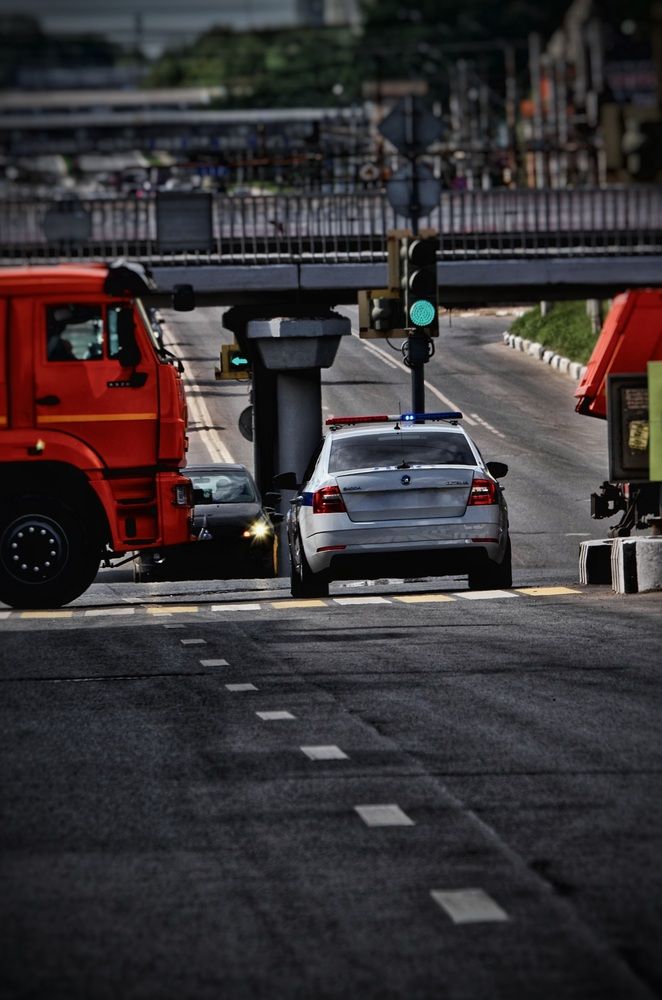 Photograph by Алена Самошина