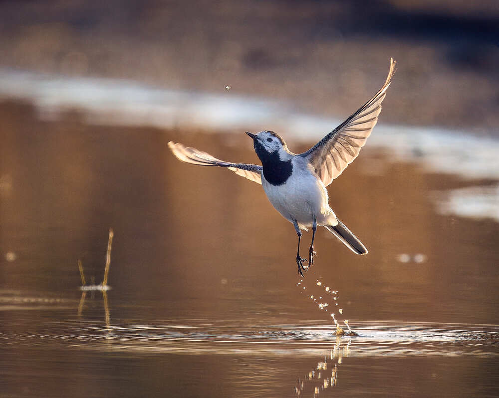 Photograph by Mikhail Khmelevskiy