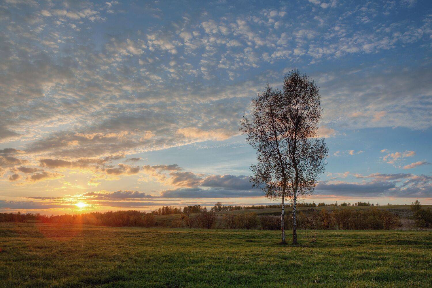 Фотография #12183565