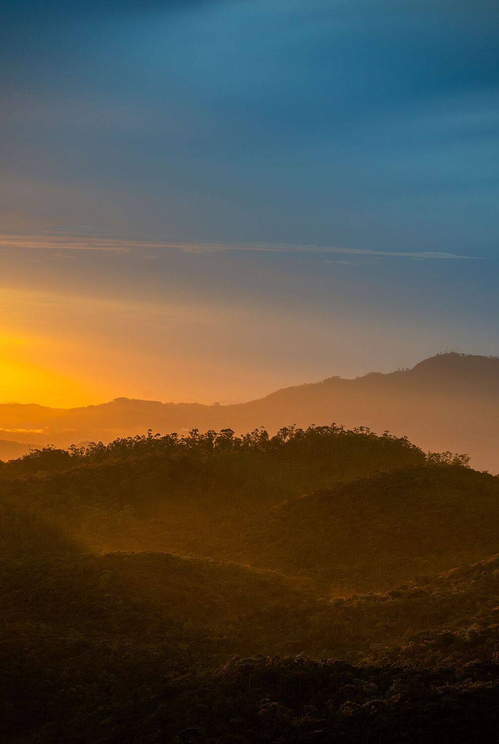 Whispers of golden dawn Whispers of golden dawn