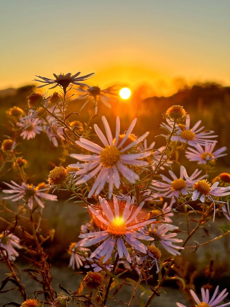 Photograph by Олеся Шалякина