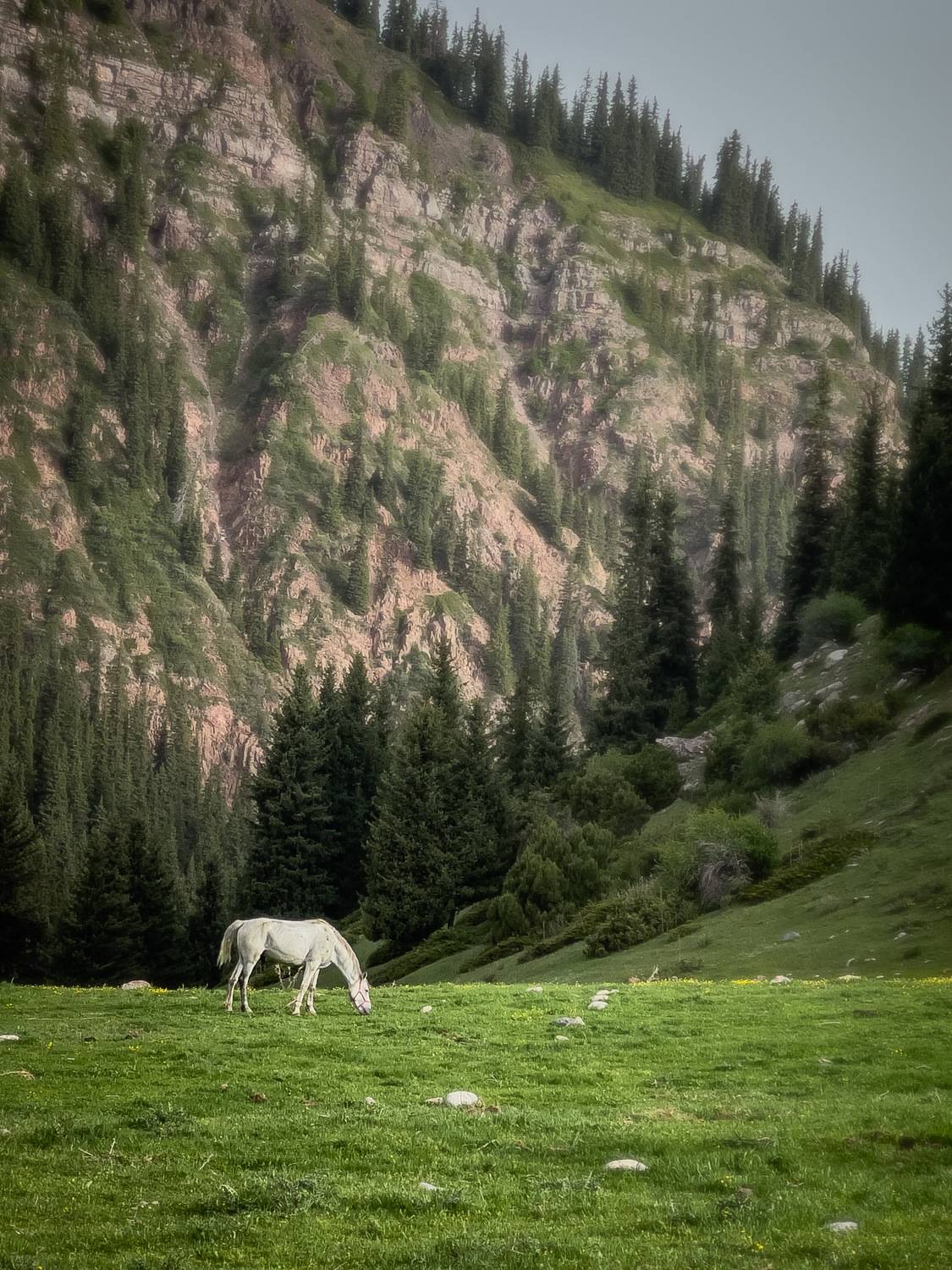 Фотография #12183683