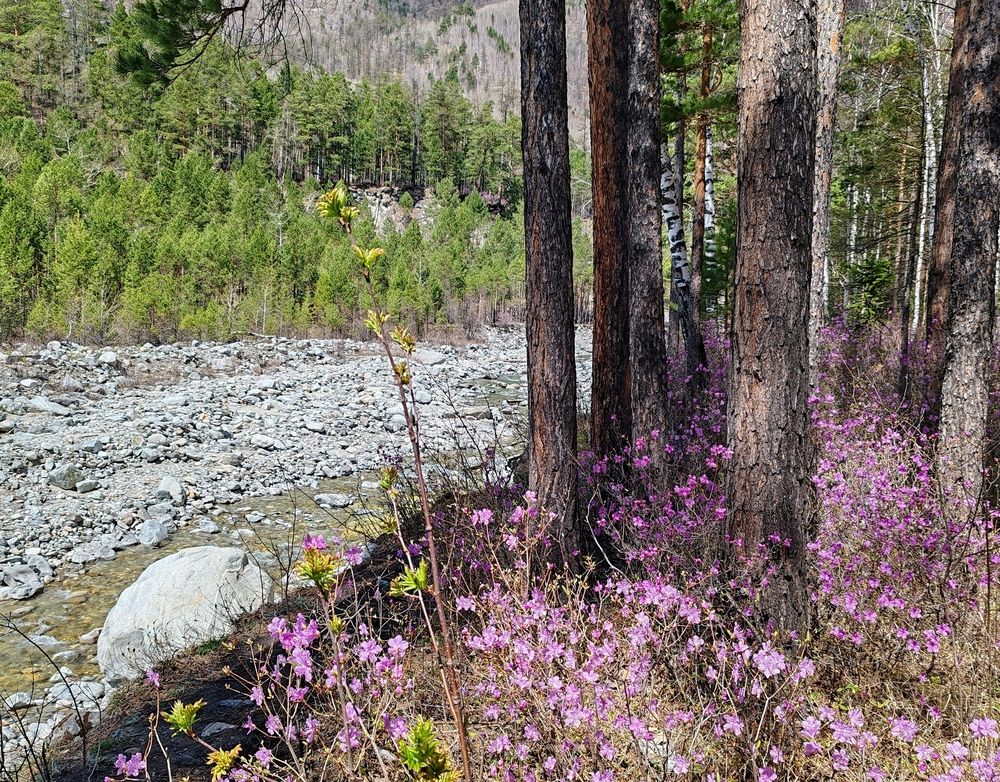 Photograph by Алёна Гильмуллина