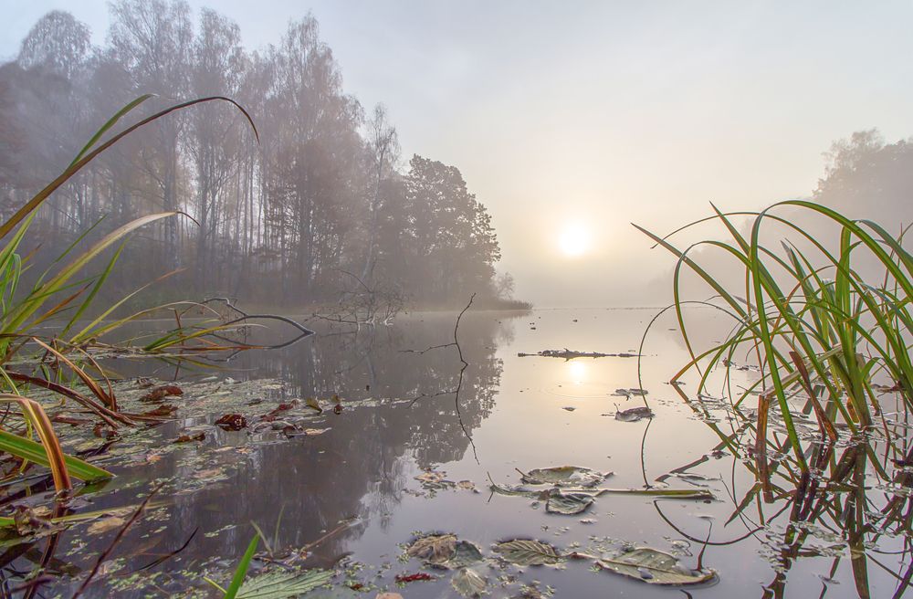 Photograph by Татьяна Феденкова