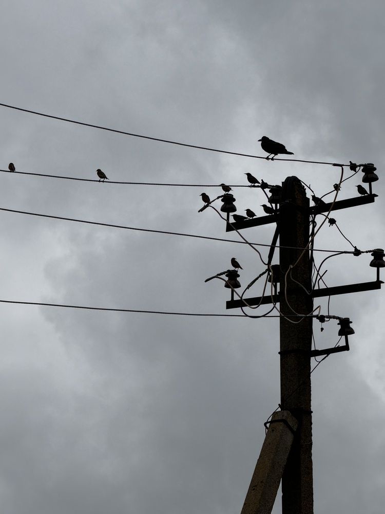 Photograph by Zhanna Kolesnikova