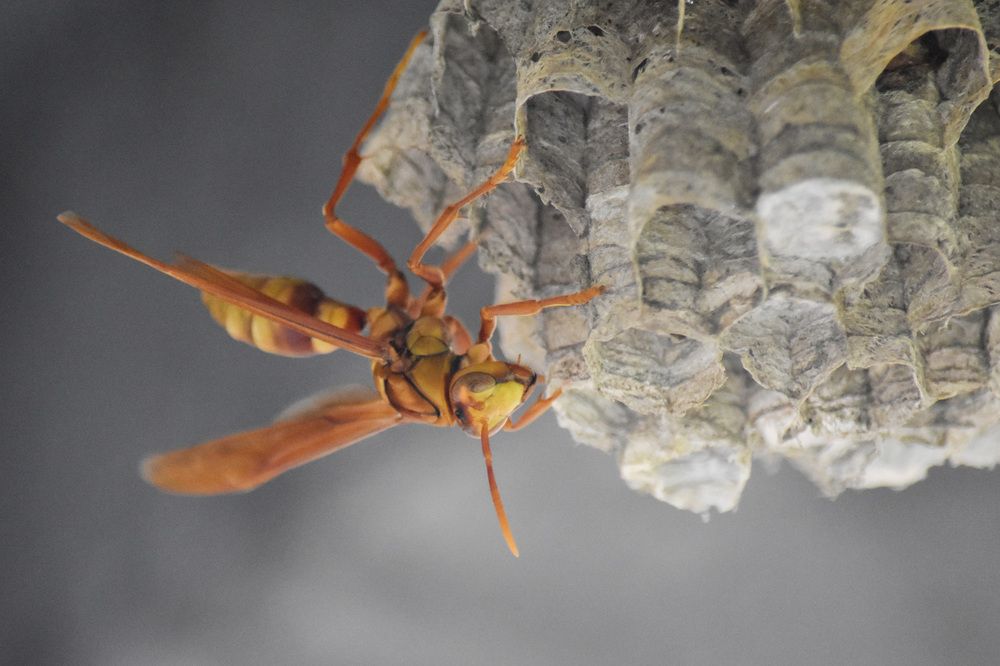 Photograph by Esteban Giraldo Arenas