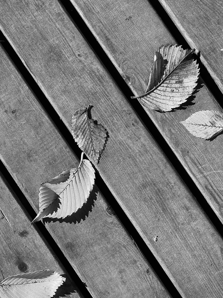 Photograph by Zhanna Kolesnikova