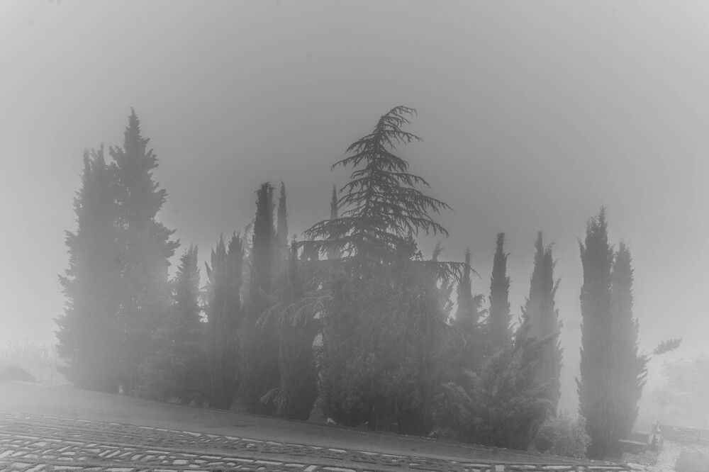 Photograph by Shulkin Igor