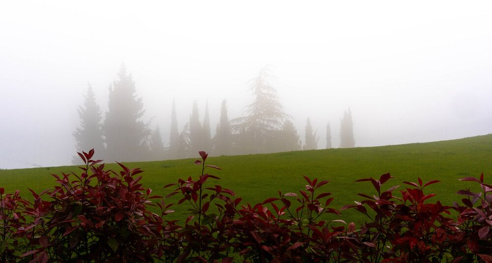 Photograph by Shulkin Igor