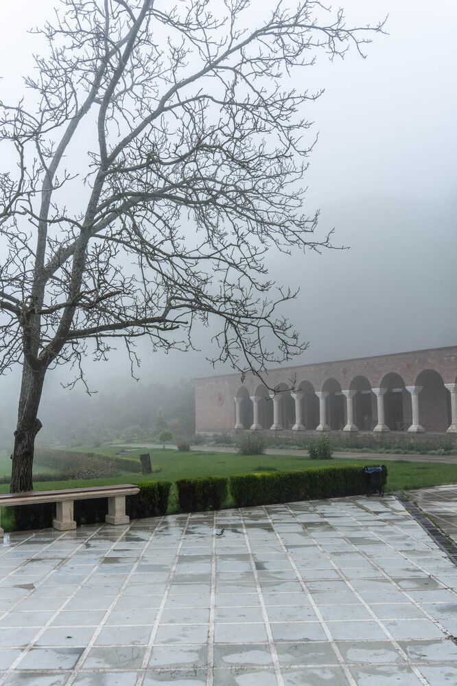 Photograph by Shulkin Igor