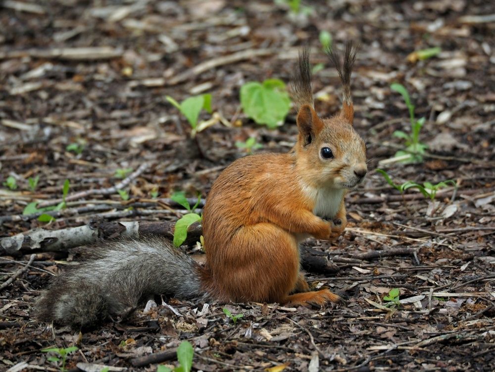 Photograph by Бакшеева Марина