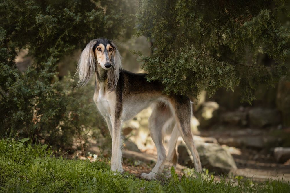 Photograph by Adela Kovaříková