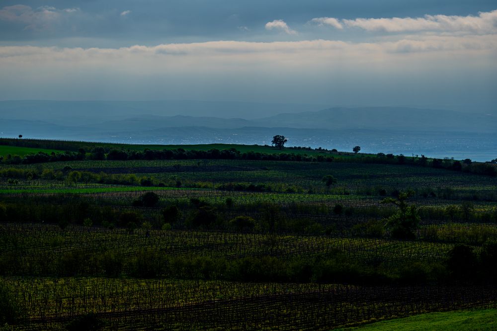 Photograph by Shulkin Igor