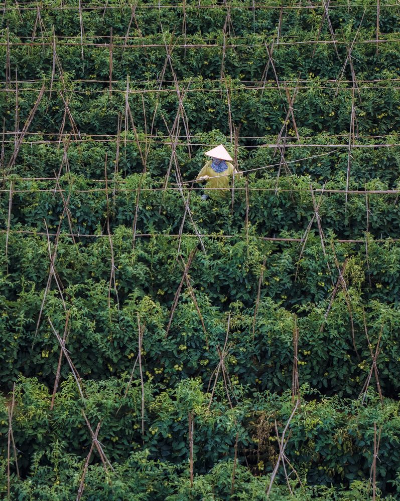 Photograph by Minh Chu Van