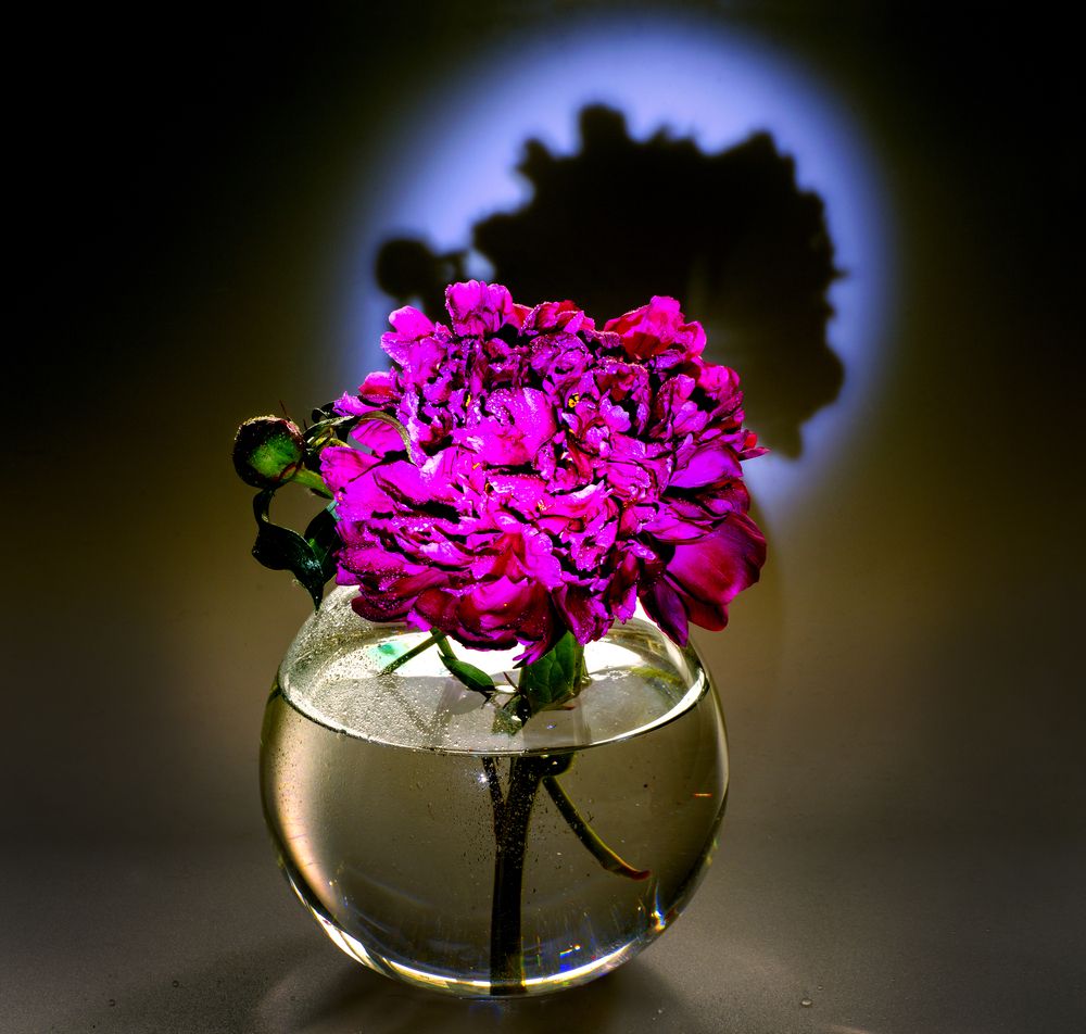 Photograph by Сергей Табатчиков