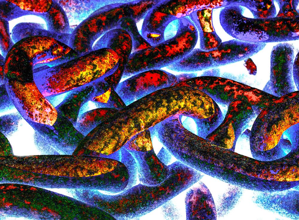 Photograph by Сергей Табатчиков