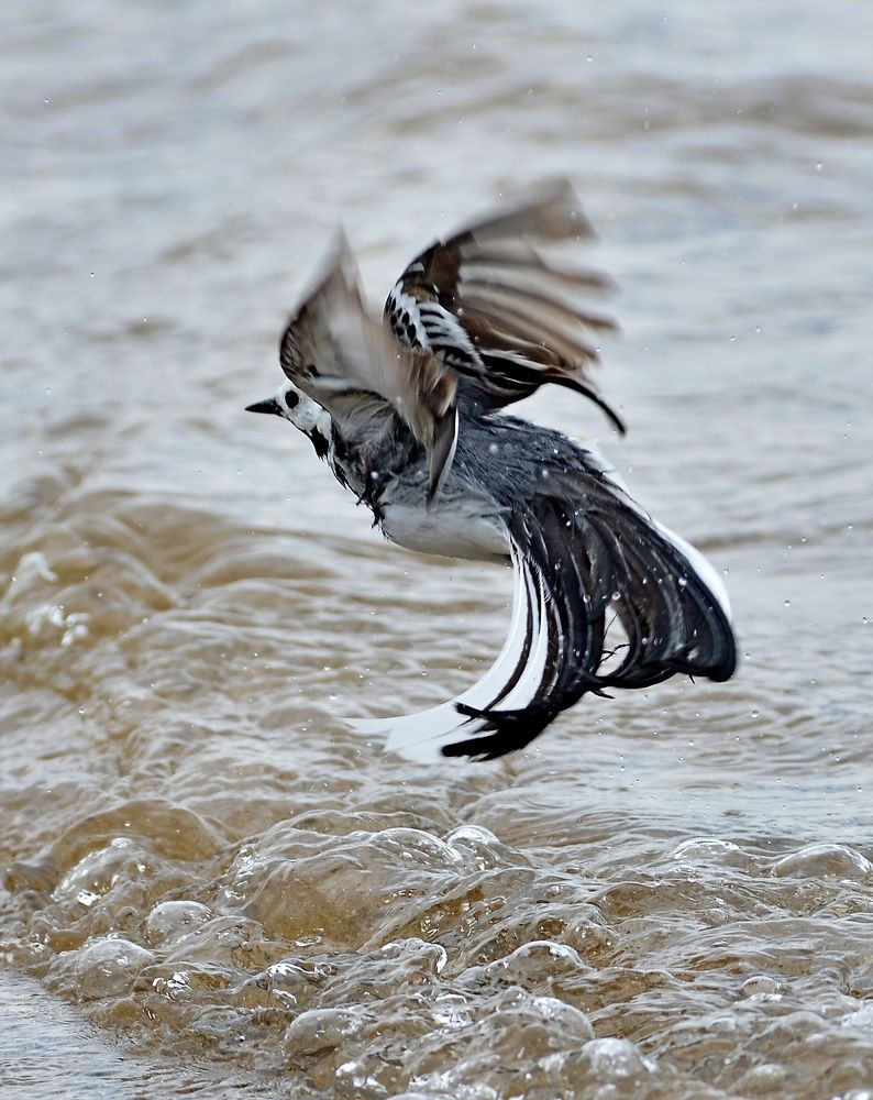 Photograph by Алексей Volg
