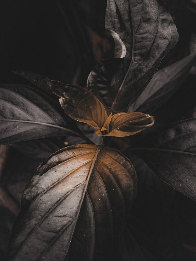 Photograph by Abel Andrés Vázquez González