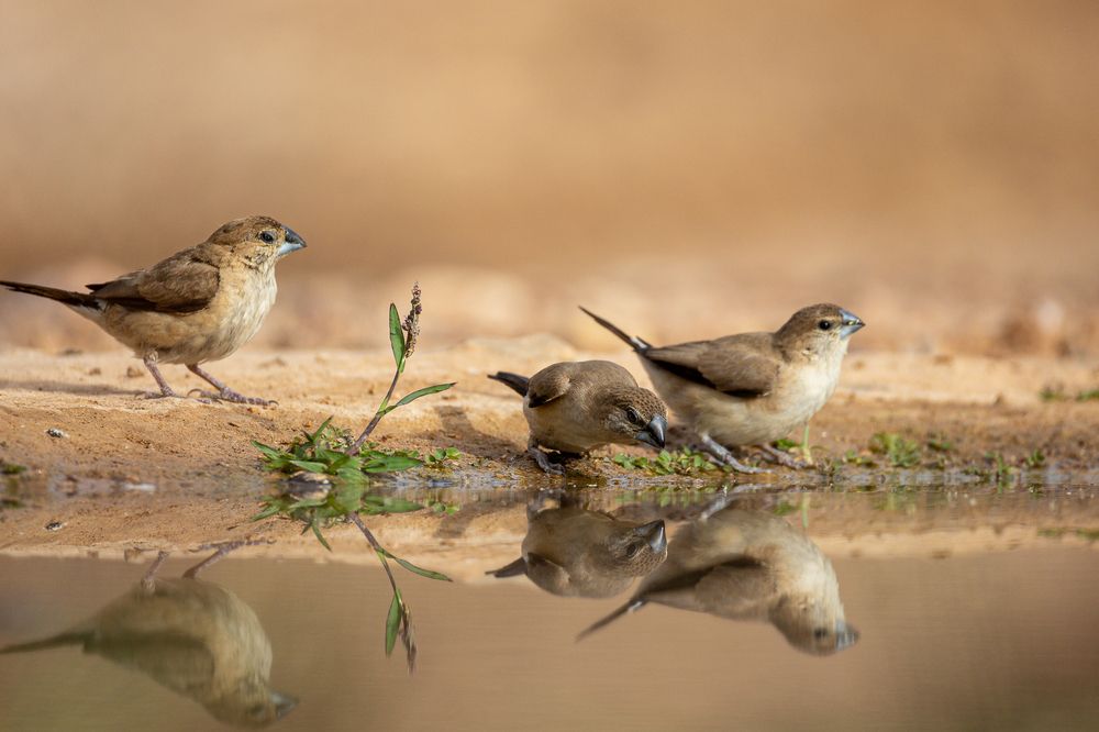 Photograph by Георгий