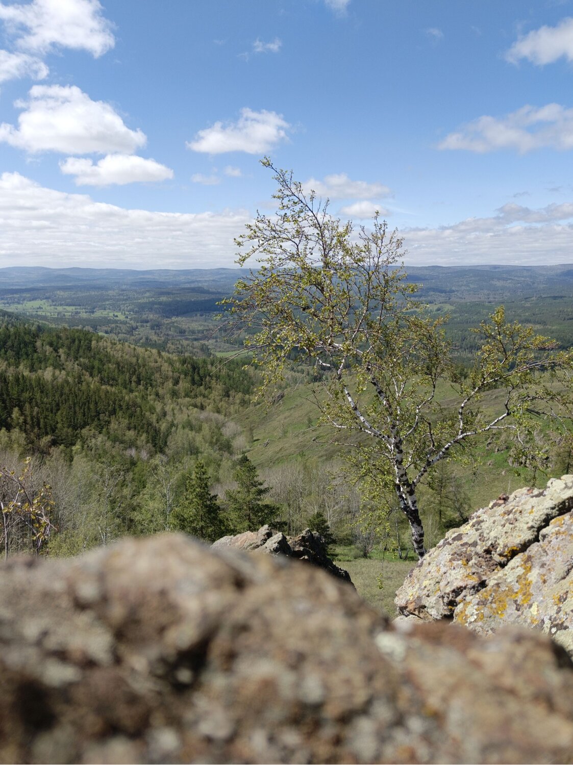 Photo #12184694