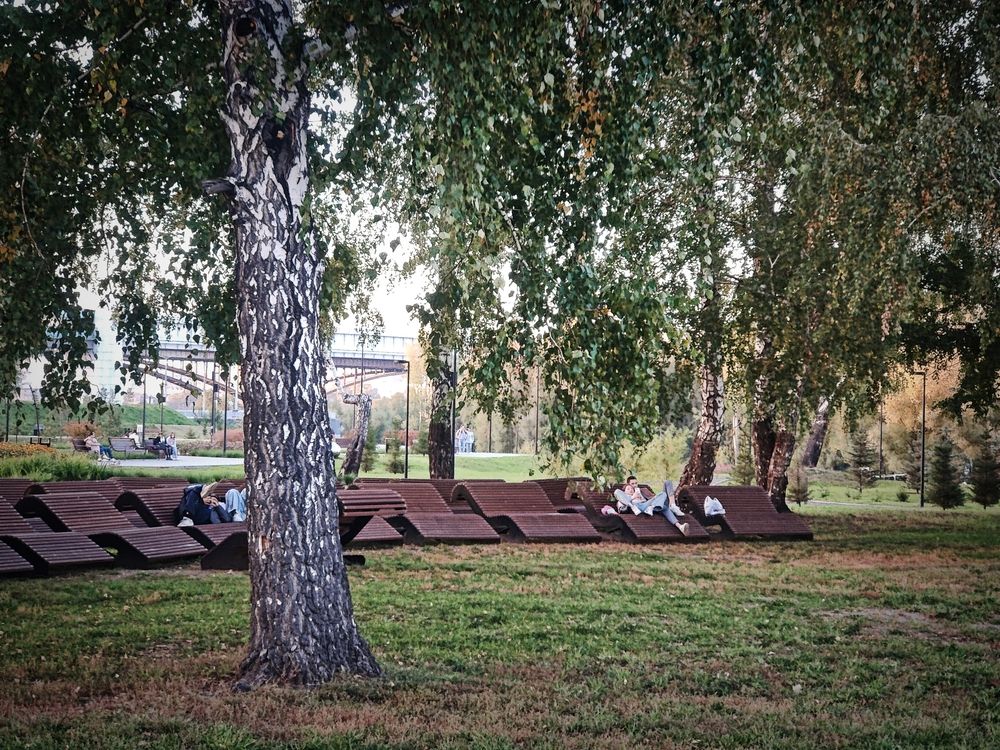 Photograph by Olena Chertous