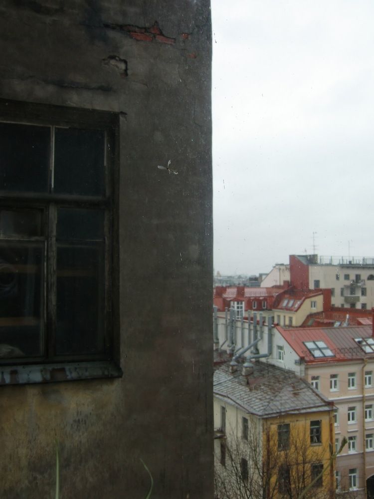 Photograph by Полина