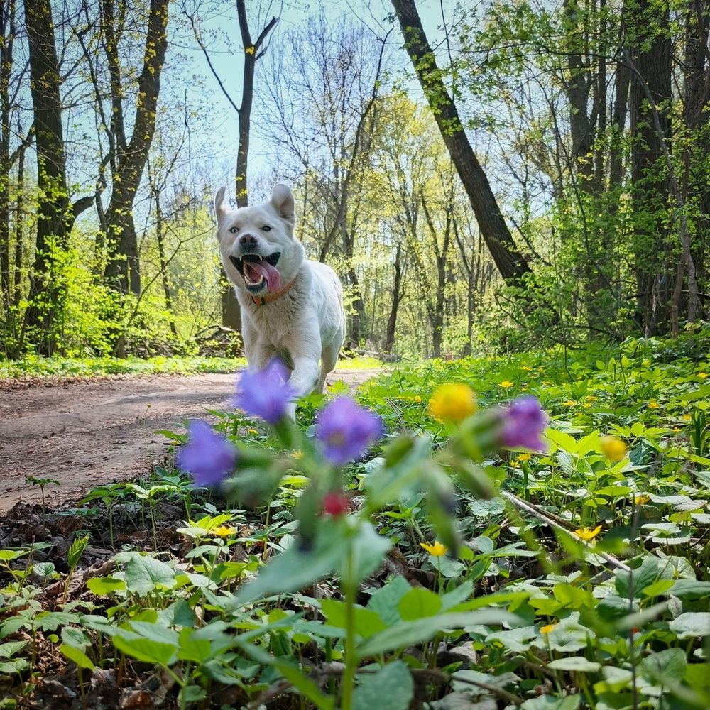 Photograph by Кондрашова Светлана