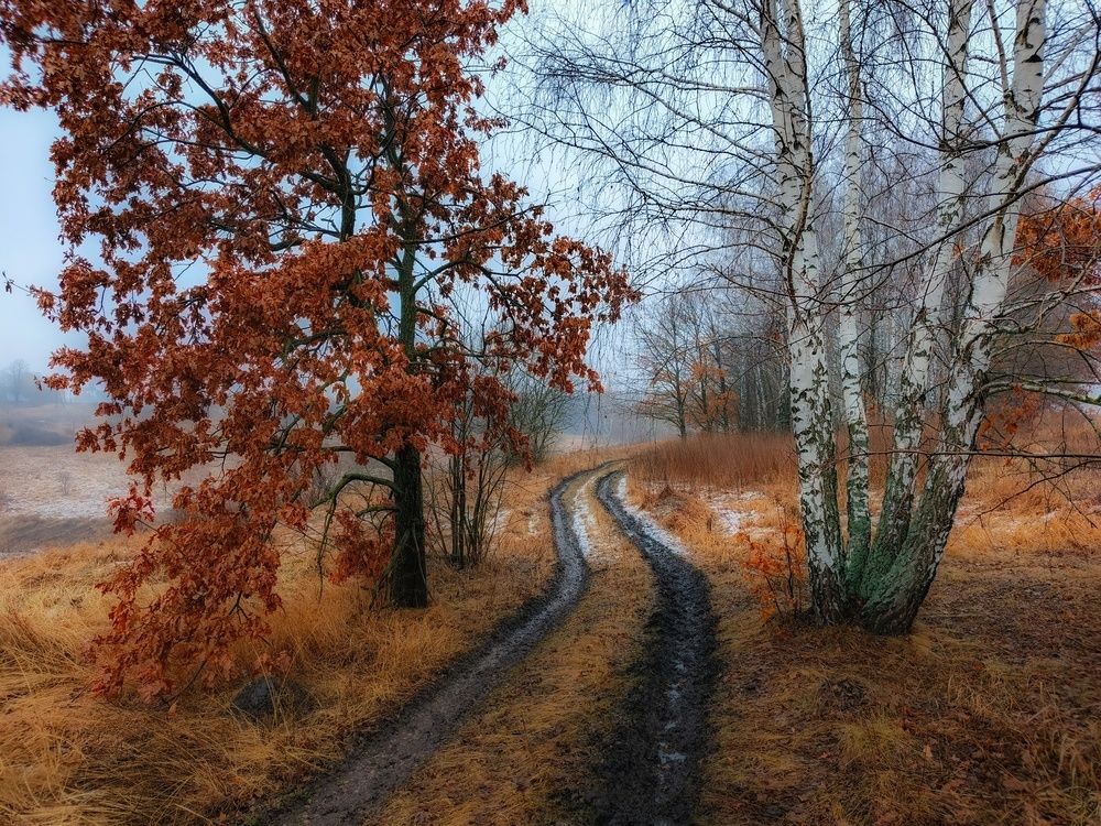 Photograph by Кондрашова Светлана