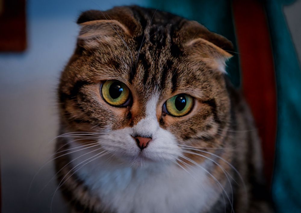 Photograph by Владимир Кваша