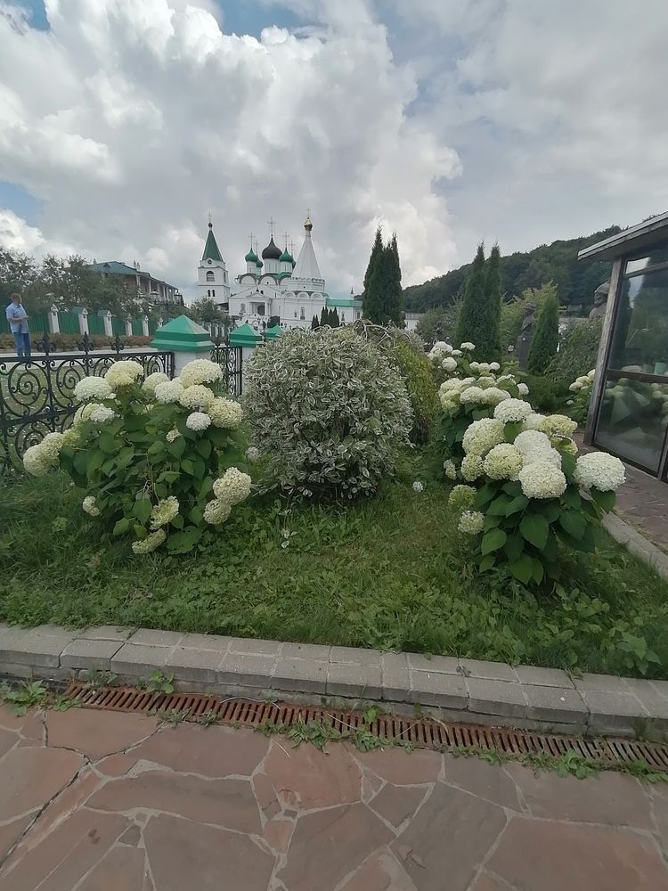 Photograph by Елена Степанкина