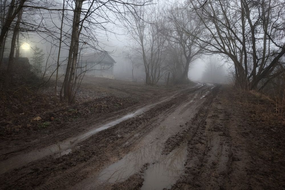 Photograph by Кондрашова Светлана
