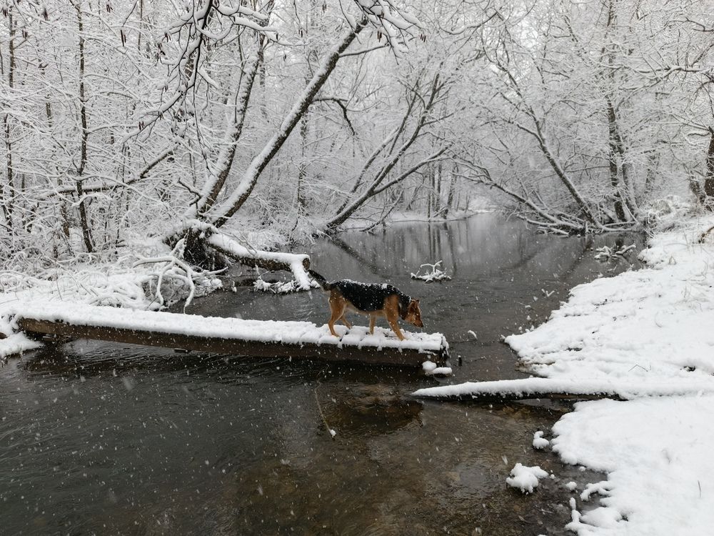 Photograph by Кондрашова Светлана