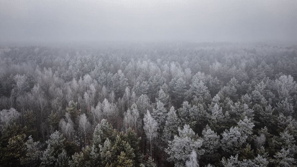 Mist