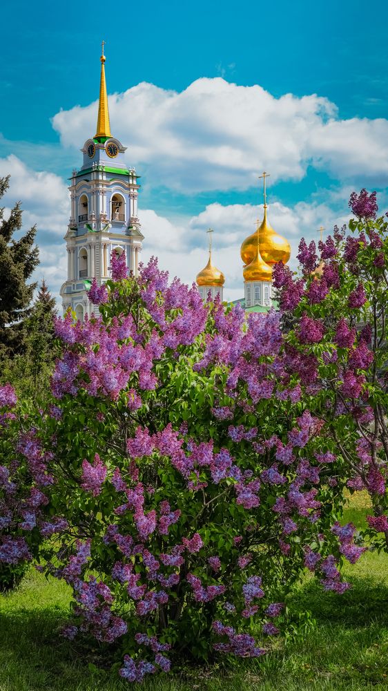 Photograph by Александр Елизаров