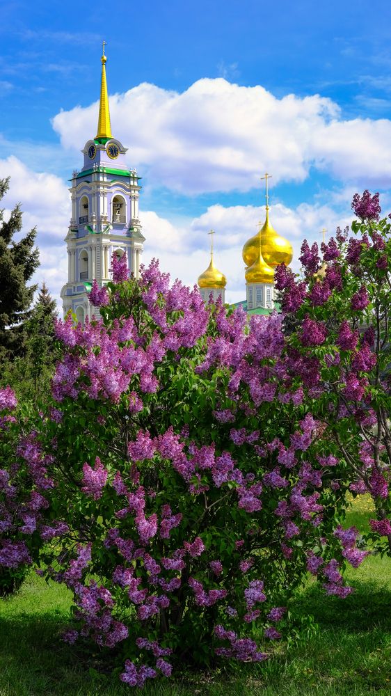 Photograph by Александр Елизаров
