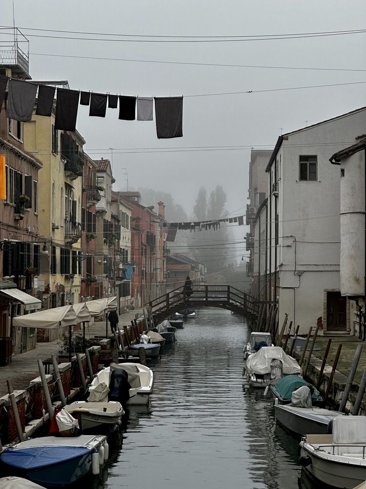 Photograph by Елена Брижеватая