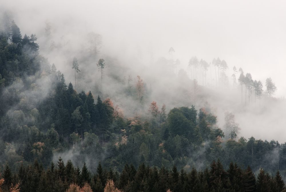 Photograph by Юлия Болдинова