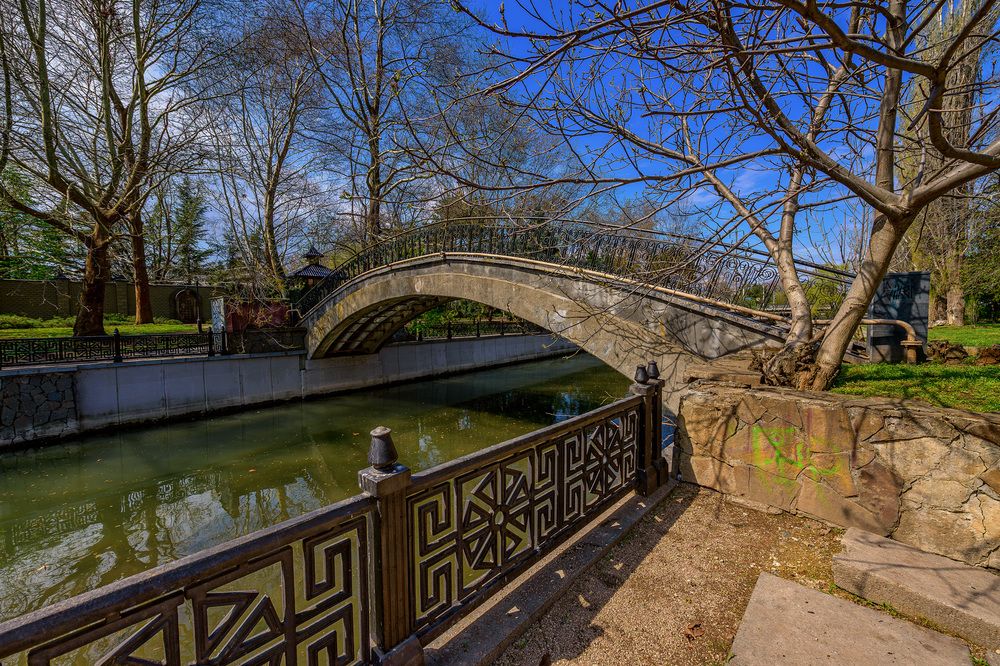 Photograph by Владимир Гамаюнов