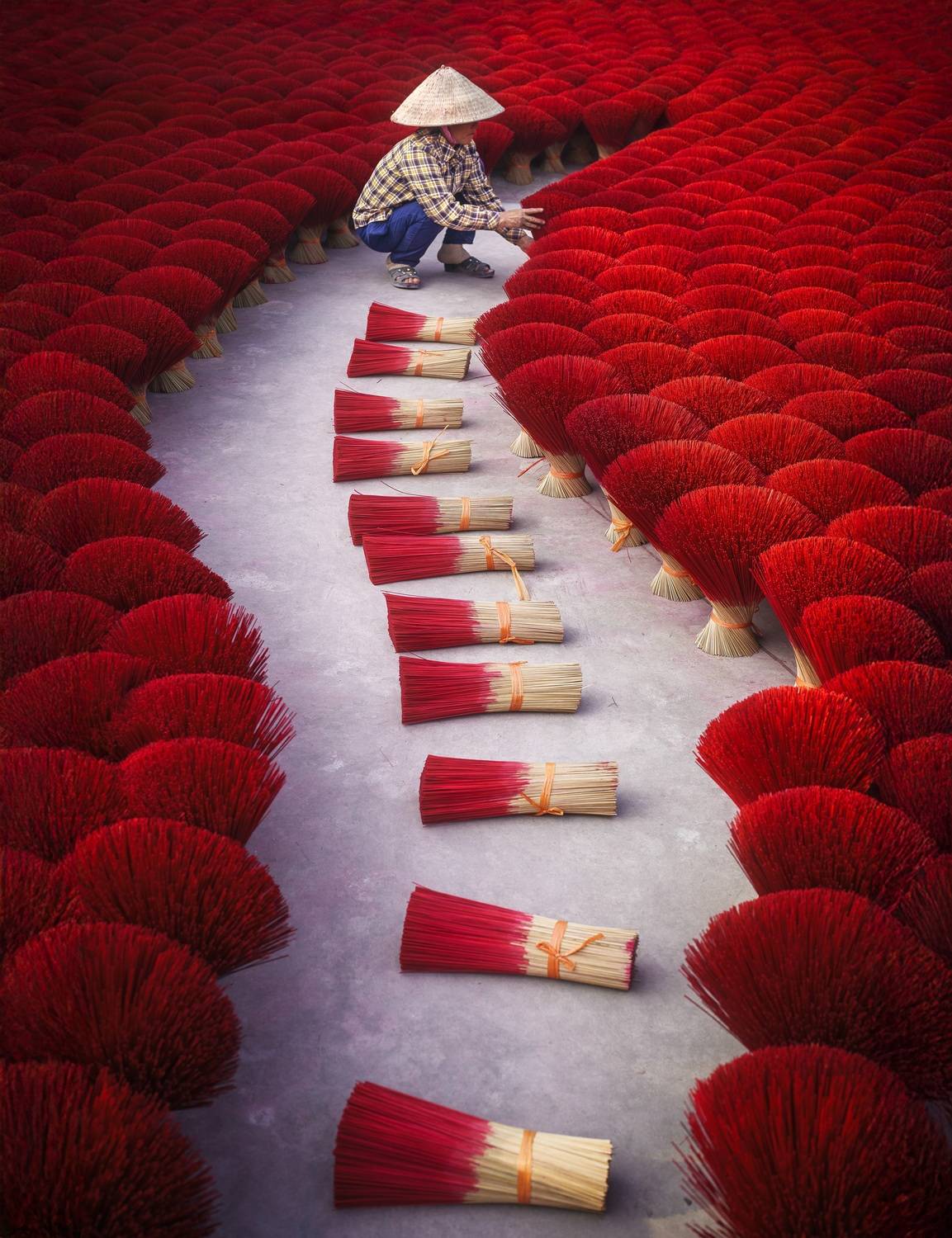 Фотография #12185000