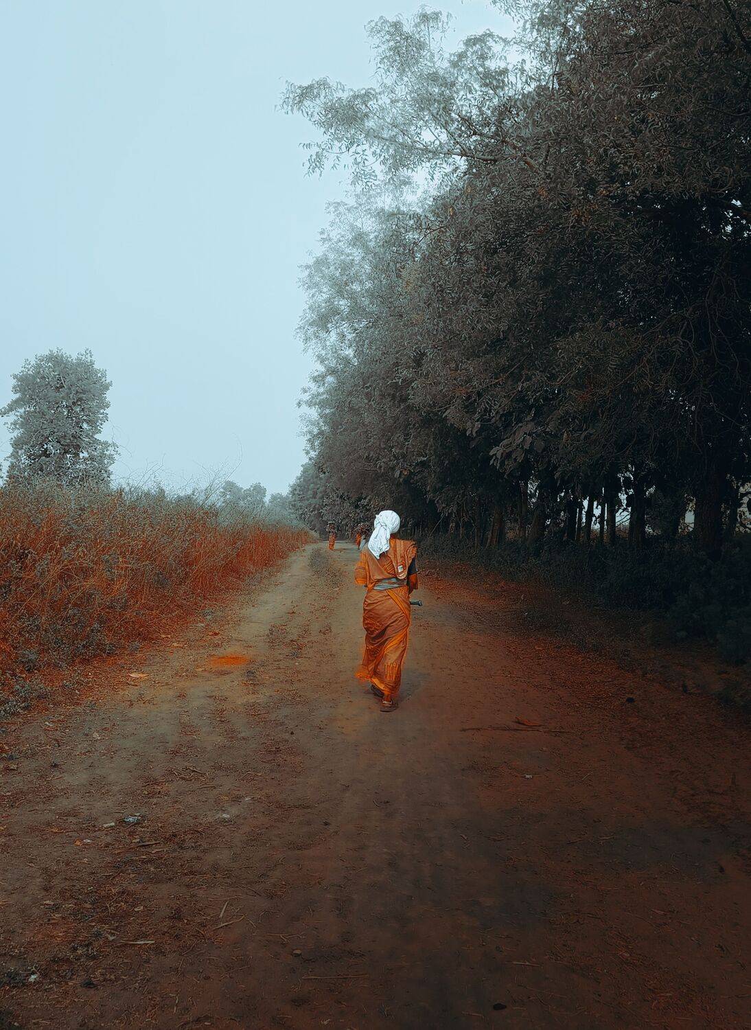 The Countryside Roots of India The Countryside Roots of India