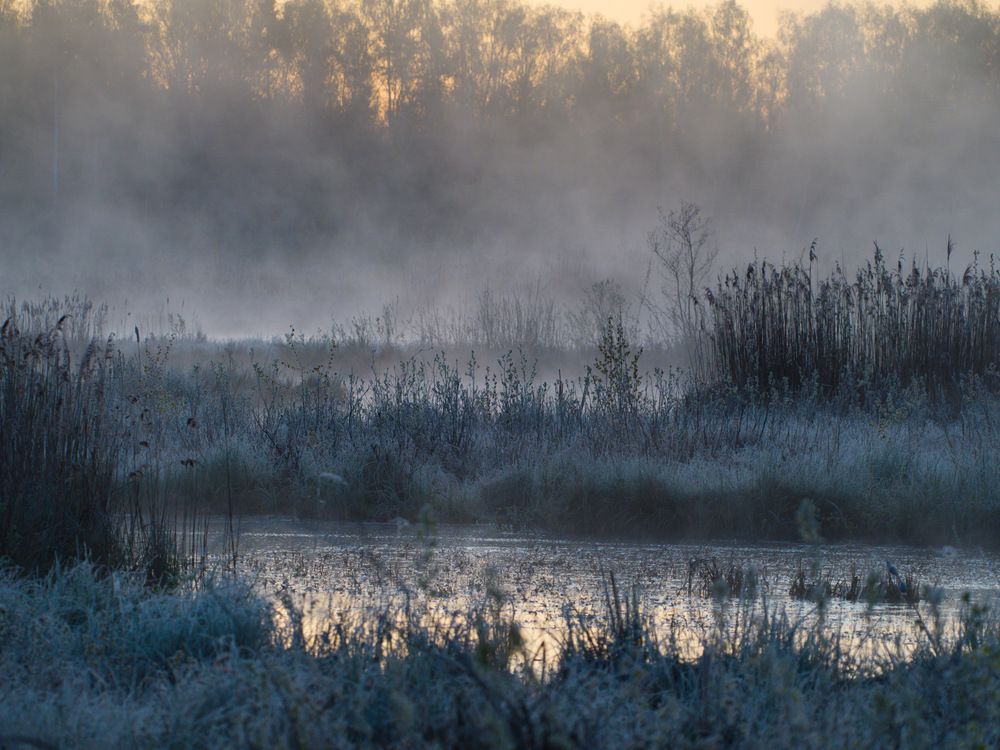 Photograph by Алексей Поляков