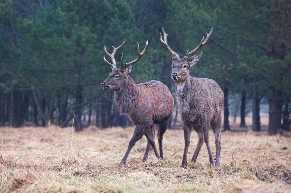 Photograph by Asedach Alexander